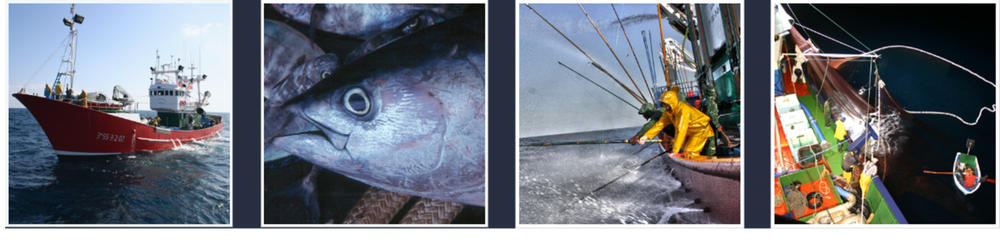 International Commission for the Conservation of Atlantic Tunas